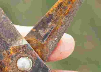 Простий домашній метод, який працює: як прибрати іржу з садових інструментів