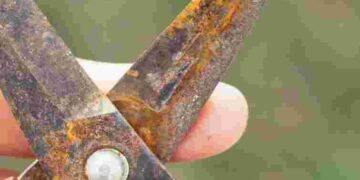 Простий домашній метод, який працює: як прибрати іржу з садових інструментів