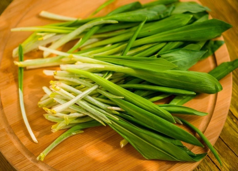 Помилка може коштувати вам життя: як відрізнити черемшу від чемериці