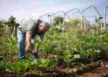 Коли насправді після Великодня можна садити город: точні терміни і поради