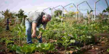 Коли насправді після Великодня можна садити город: точні терміни і поради