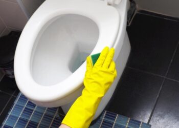 Багаторічний наліт просто “змився” з унітазу: допомогла домашня суміш із 3 речовин