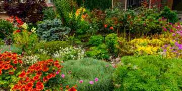 Особлива увага: як відновити багаторічники після зими і стимулювати цвітіння