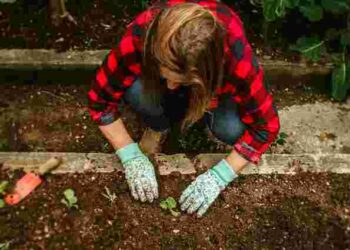 Вербна неділя вже близько: у які дні категорично не можна працювати на городі