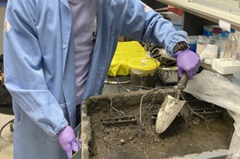 Бруд замість батарейок: вчені створили новий паливний елемент із ґрунтових мікробів