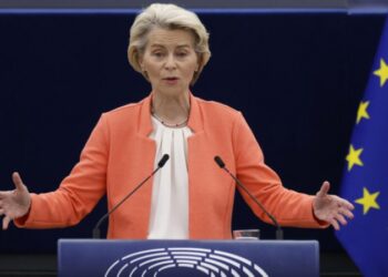 Цифровий контроль: ЄС впроваджує додаток для перевірки віку, що може змінити весь інтернет