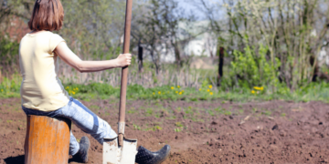 Чистий четвер 2026: що можна садити на городі для щедрого врожаю
