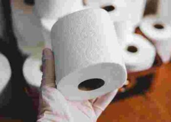 Лише заб’єте каналізацію: який туалетний папір ніколи не можна змивати в унітаз