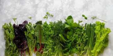 Хитрый лайфхак с салфеткой: делайте так — и зелень выбрасывать не придется