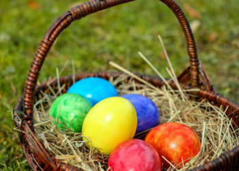 Куда девать десятки крашенок после праздника: 7 крутых рецептов с вареными яйцами (ФОТО)