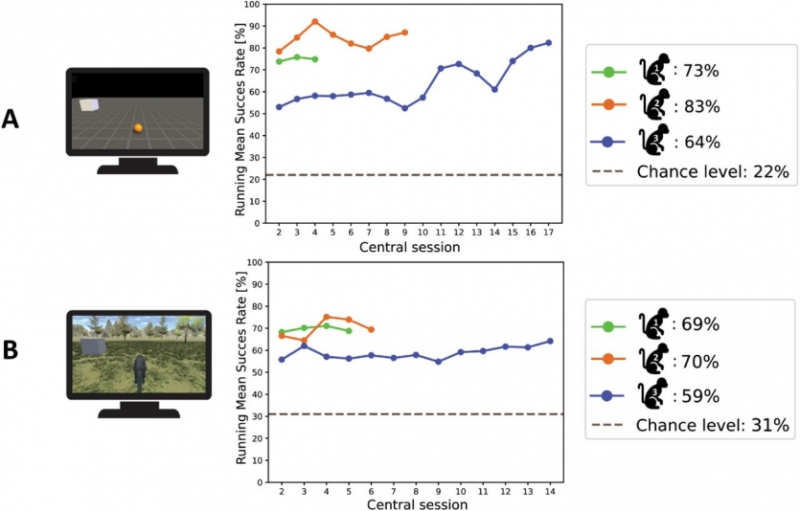 Макаки теж можуть: вчені вперше примусили мавп пересуватись у повноцінному 3D-віртуальному світі силою думки
