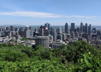 Названо найзеленіші міста світу: там найбільше парків і лісів