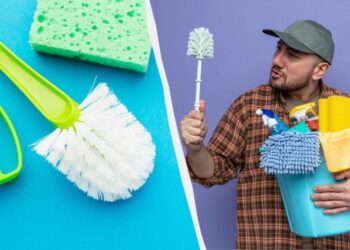 Ось що потрібно робити, щоб йоржик завжди залишався чистим: як його правильно мити