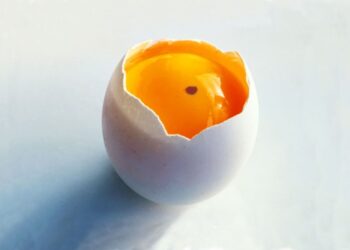 Откуда в яйце берется красное пятно: можно ли готовить такой продукт