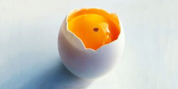 Откуда в яйце берется красное пятно: можно ли готовить такой продукт