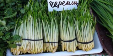 Украинский суперфуд под запретом: Клопотенко призвал к “легалайзу”