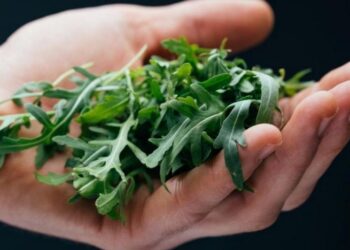 Ваш салат станет идеальным: как за три секунды сделать горькую рукколу нежной
