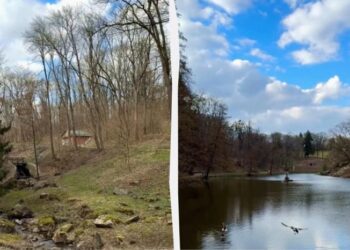 Весна приходить поступово: в найпопулярнішому дендропарку України стартував туристичний сезон