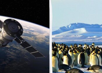 Втекти від натовпів у космос або на полюси: названо найексклюзивніші тури у світі