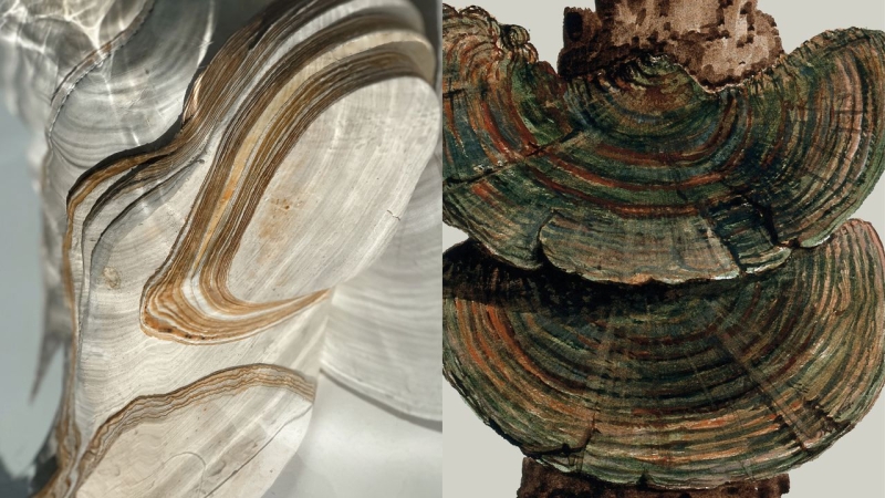 Взуття з грибниці. Чому я втомилася від екомаркетингу, але в це повірила