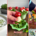 Зайчики, грибочки и цветочки: 4 ярких весенних закусок, которые понравятся и детям, и взрослым (ВИДЕО)