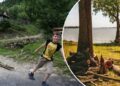 Сухостій біля води: чи можна заготовляти дрова біля річок та ставків