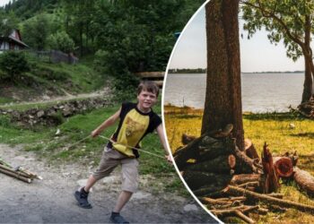Сухостій біля води: чи можна заготовляти дрова біля річок та ставків