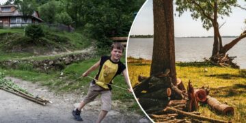 Сухостій біля води: чи можна заготовляти дрова біля річок та ставків