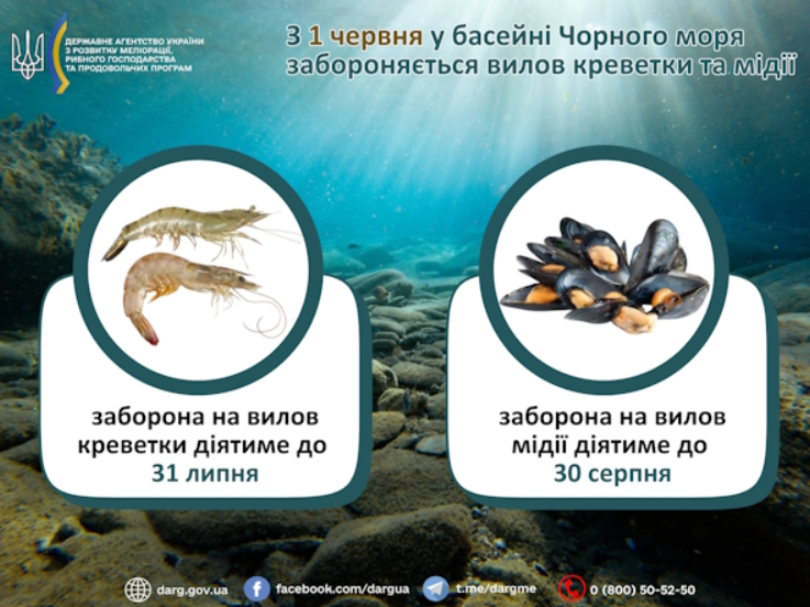 Нова заборона для рибалок: за що каратимуть з 1 червня