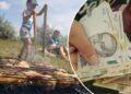 Штрафи через шашлики в Україні: хто може втратити до 68 тис. грн за пікнік