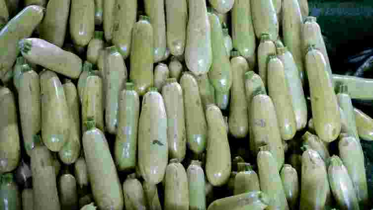 Не будуть водянистими і гумовими: як краще заморозити кабачки на зиму