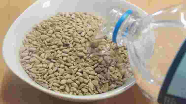 Чи зійде минулорічне насіння огірків: як швидко перевірити це вдома