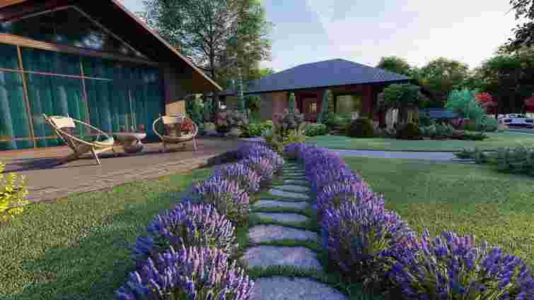 Буде квітнути весь сезон: чим удобрити лаванду у квітні для кращого росту