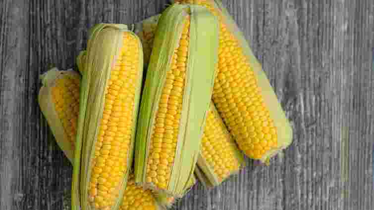 Сприятливі лише 5 днів у травні: коли садити кукурудзу для щедрого врожаю