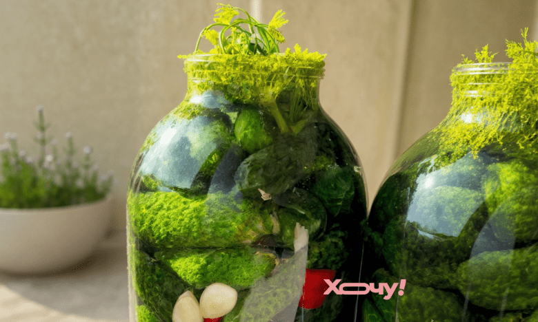 Что положить в банку с огурцами и томатами: точный состав и пропорции ингредиентов