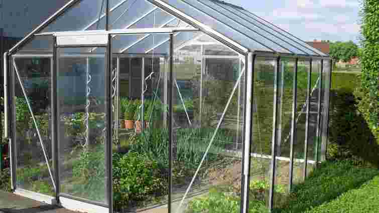 Диво-розчин для теплиці: як повернути ґрунту родючість і отримати потужний урожай