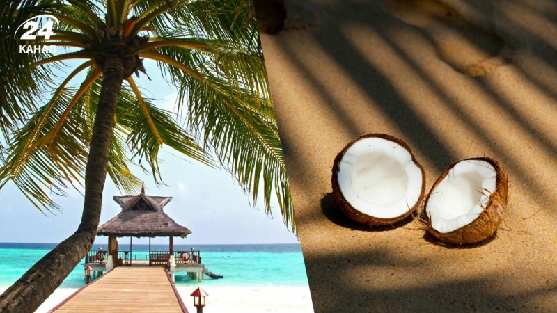 Де та як ваш знак заряджається влітку: гороскоп ідеального відпочинку