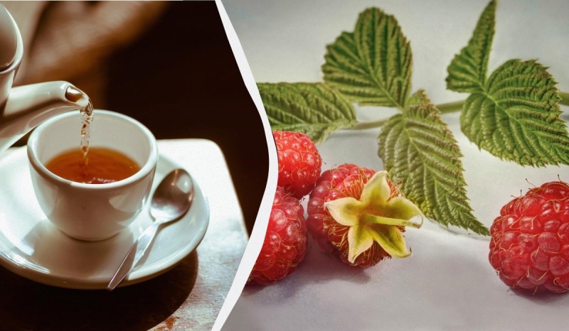 Для чого потрібно пити чай із листя малини: користь для здоров'я та способи заварювання