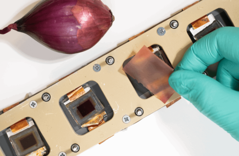 Лушпиння цибулі захищає сонячні елементи краще, ніж промислові технології
