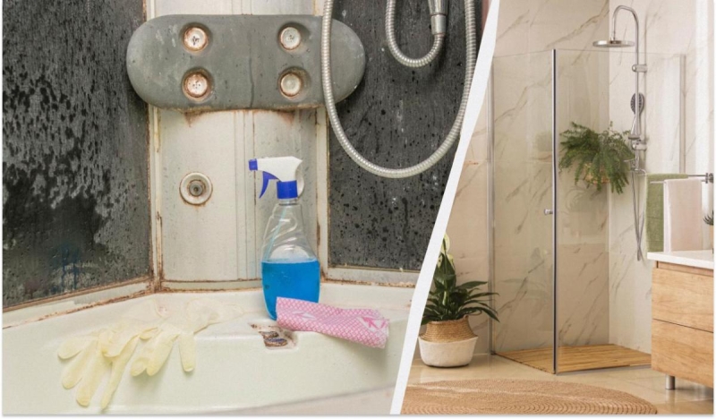 Наліт зникне без сліду: як швидко відмити душову кабіну