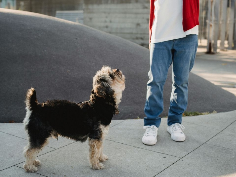 Сині джинси і стильне взуття: що повинен знати кожен чоловік про свій гардероб